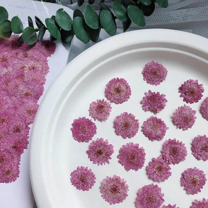 Natura tłoczone kwiaty prawdzi – Art Craft 2 Year Olds recenzja i cena