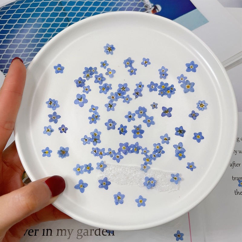 100 sztuk/0.5-1cm, wciśnięty m – Art Craft 2 Year Olds recenzja i cena