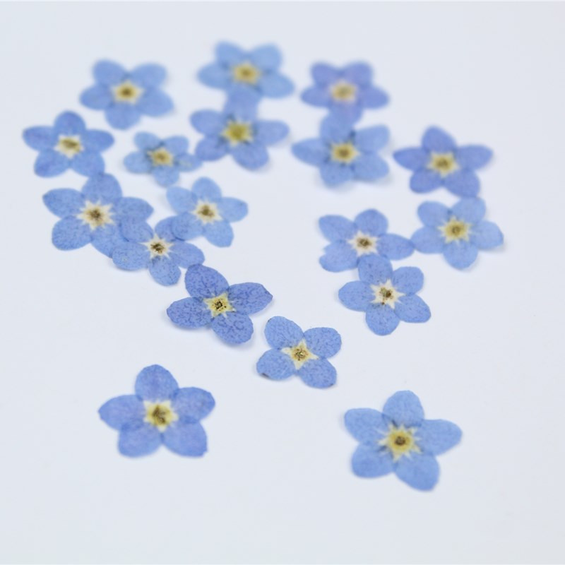 100 sztuk/0.5-1cm, wciśnięty m – Art Craft 2 Year Olds recenzja i cena