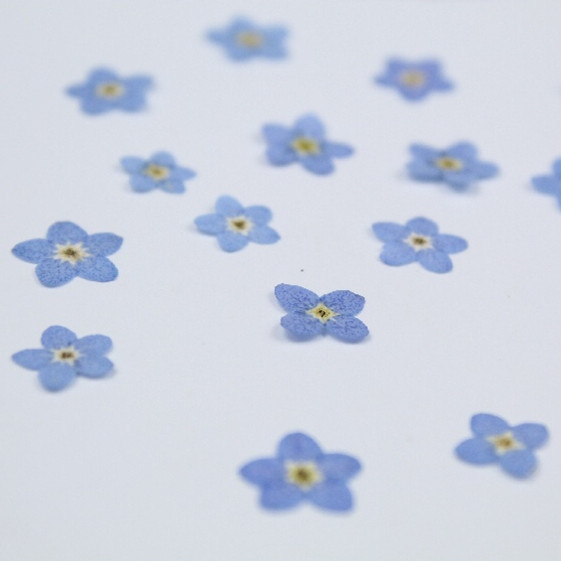 100 sztuk/0.5-1cm, wciśnięty m – Art Craft 2 Year Olds recenzja i cena
